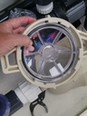 O-Ring - Compass Ultra Pump Spares - NO.11 Lid Cream - SWPB150, SWPB100, SWPB75 