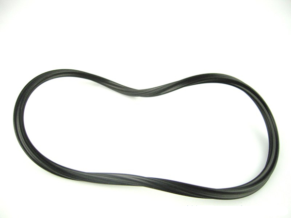 Paramount O-Ring for in Ground Debris Canister - 