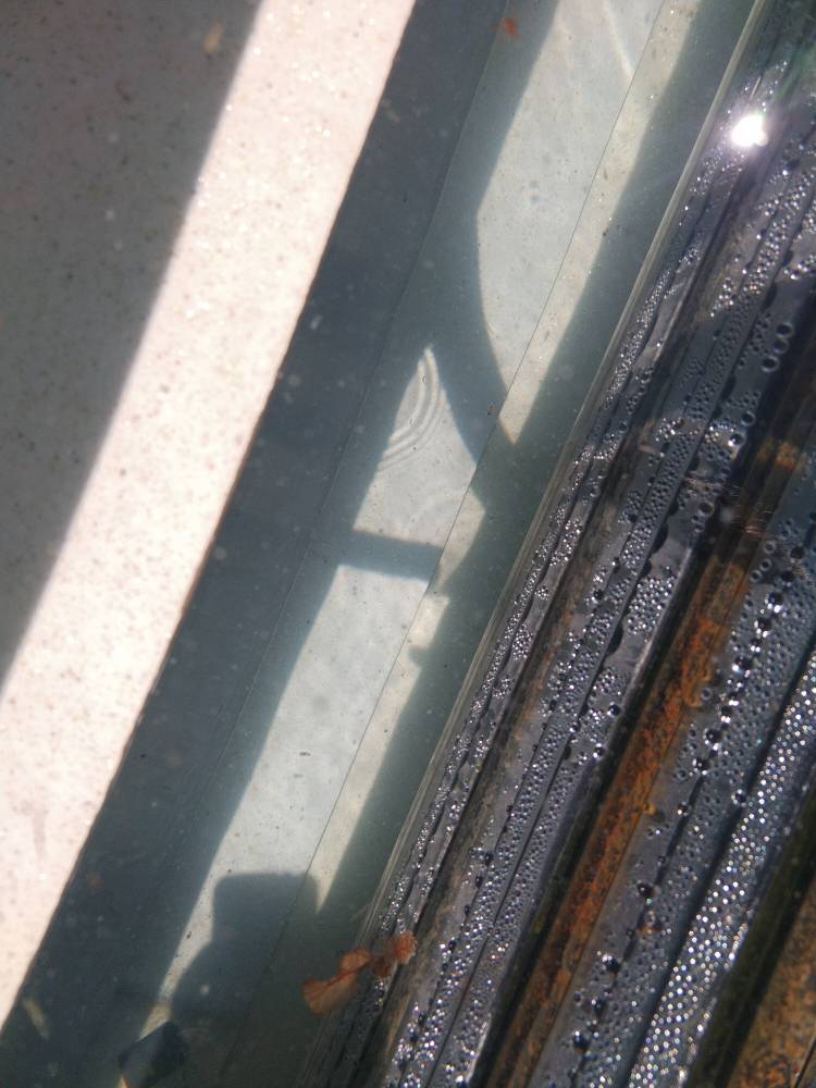 Fixed Price - Pit Clean ( On its Own)