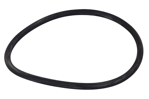 [445564] O-ring - Compass Pump - Lid - NO.6  SBP100, SBP75, SBP50