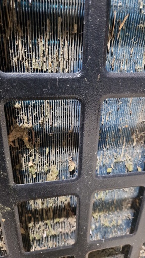 [WS-SW-FP-HC-10*] Fixed price - Heat Pump Cleaning Service
