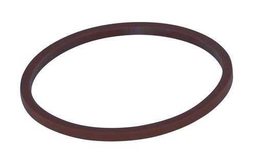 [005552014200] Paramount  Large Nozzle o-ring ( EACH)