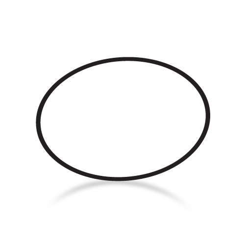 [005-302-0100-00] Paramount Vantage Base O-Ring for Port